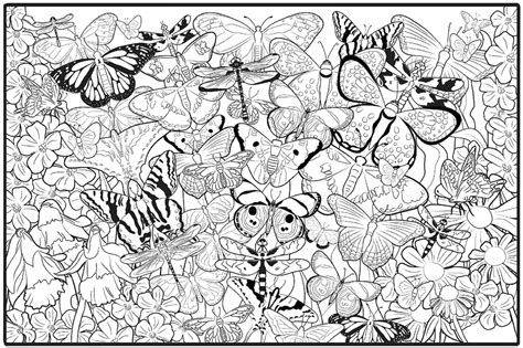 Detailed Butterfly Coloring Pages Free Coloring Pages