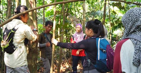 Hutan lipur templer) is a forest reserve in rawang, gombak district, selangor, malaysia. Ekspedisi KeTA Hutan Simpan Bukit Lagong, Bukan Sekadar ...