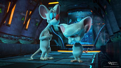 Pinky And The Brain Hd X Download Hd Wallpaper Wallpapertip