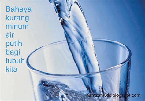 Marilah kita mulai dengan darah yang sudah tidak mengandung oksigen. Bahaya Kurang Minum Air Putih bagi Tubuh Kita - Blog Kang ...