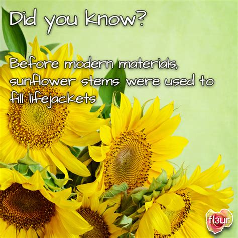 Did You Know About Flowers Fl3ur Knows Fun Facts About Flowers