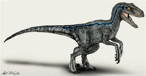 Jurassic World Velociraptor Charlie By Nikorex On Deviantart Artofit