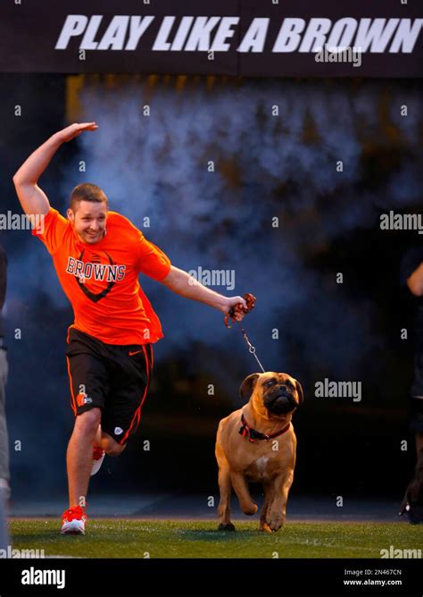 Browns New Live Dog Mascot Swagger Runs Onto The Field During A