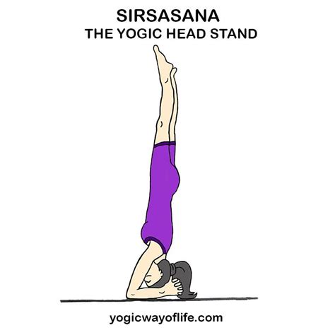 Sirsasana The Yogic Head Stand Yogic Way Of Life Headstand Yoga