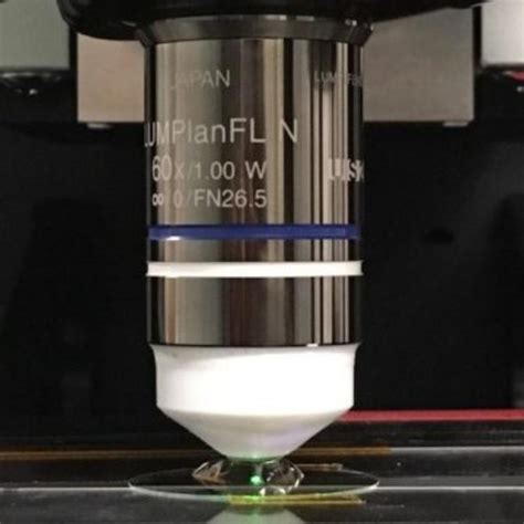 First Flat Lens For Immersion Microscope Provides Alternative To