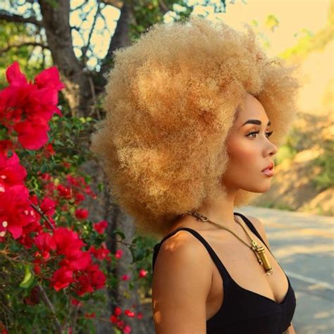 15 Awe Inspiring Blonde Afro Hairstyles Afro Hair Blonde Blonde Afro Blonde Natural Hair