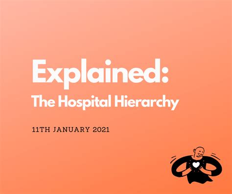 The Hospital Hierarchy Explained Doctor Nisha