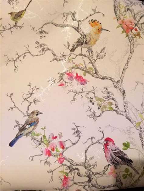 Art Deco Wallpaper B Q Birds Wallpaper B Q Lounge Hd B And Q Bird