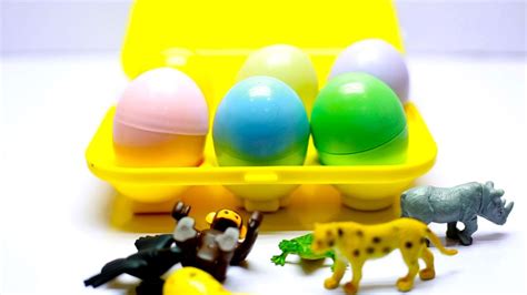 Surprise Eggs Wildlife Toys Learn Wildlife Animals And Sounds For