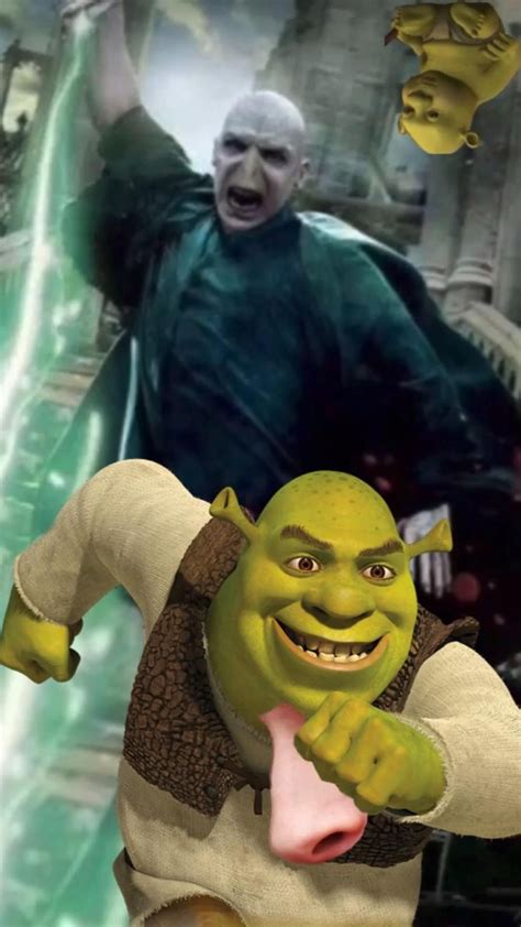 37 Best Shrek Images On Pinterest Dankest Memes Shrek Vrogue Co
