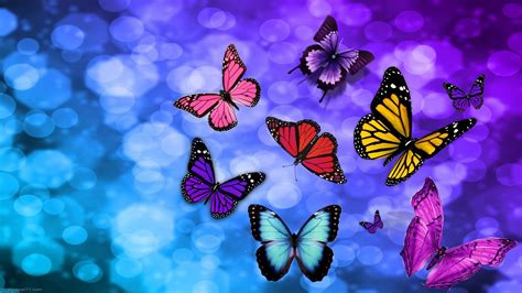 Purple Blue Rainbow Butterfly Wallpaper Purple Butterfly Wallpaper