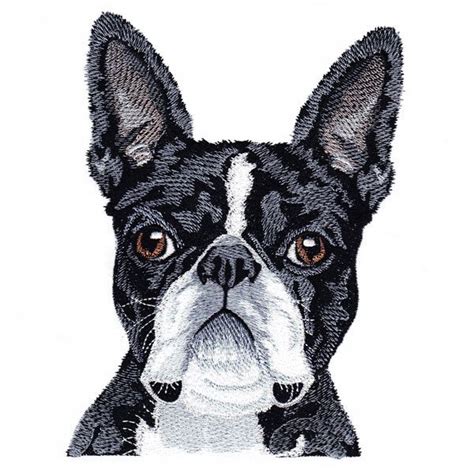 Boston Terrier 5x7 Embroidery Delight Your Source For All