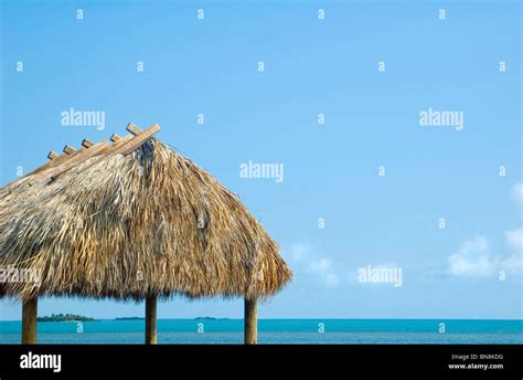 Tropical Caribbean Grass Hut Cabana Background Stock Photo Alamy