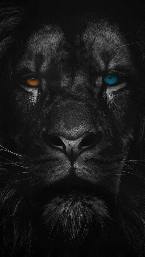 We did not find results for: Pin de marvellouslines em WILD ANIMAL WALLPAPERS | Imagens ...