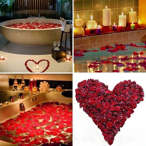 Hotels price their rooms depending on how many beds and the types of beds. Romance is not just for Valentine's Day! - Flyboy Naturals ...