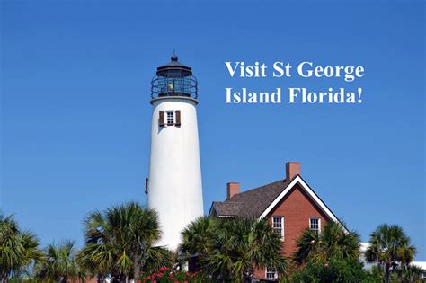 George island for boat charter trips for great fishing, to rent kayaks or take your little ones out on the guided dolphin tour or. Visit St George Island Florida