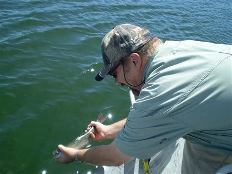 Fly Fishing The West With Howard A Day With Karen At Strawberry Reservoir