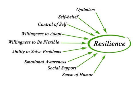 Resilience The Power Of Resilience And Why Resilient People Succeed