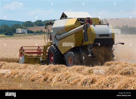 Grain Harvester Combine Work In Field Stock Photo Alamy