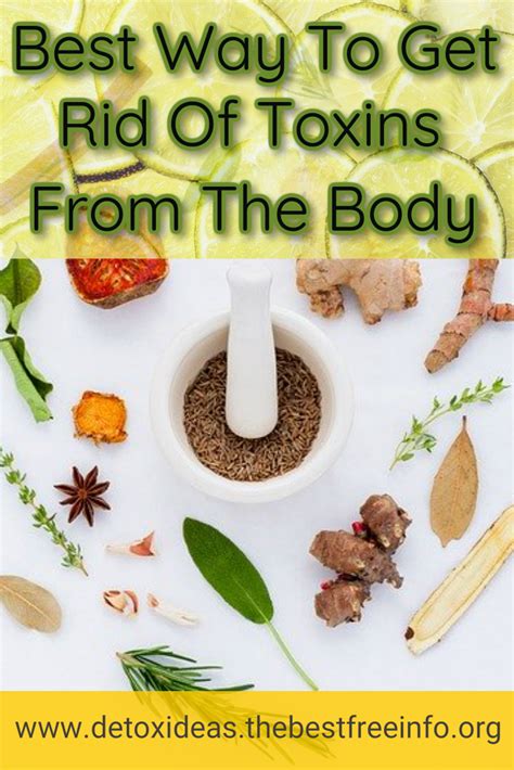 how to cleanse the body of toxins in 2020 natural body detox best way to detox detox your body
