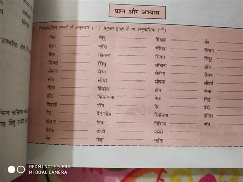 anuswar and anunasik exercises - Brainly.in