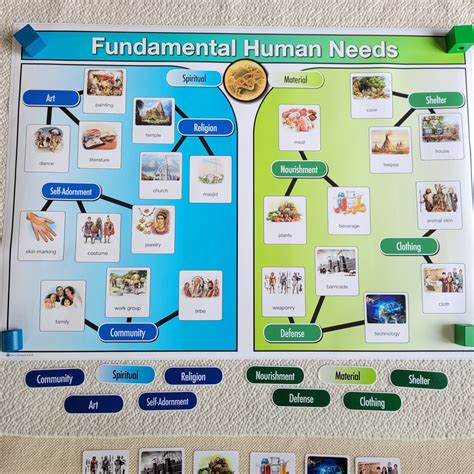 Fundamental Human Needs 6 Alisons Montessori Blog