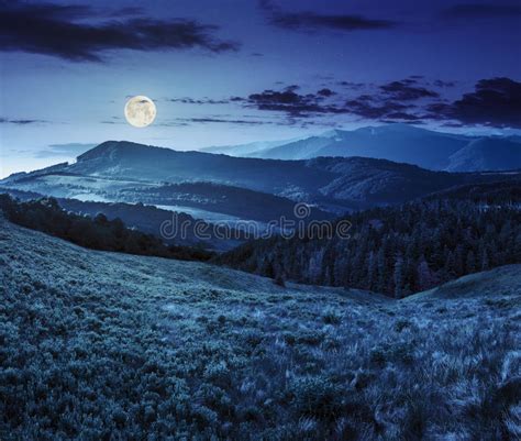 Landscape With Valley And Forest In High Mountains At Night Stock Photo