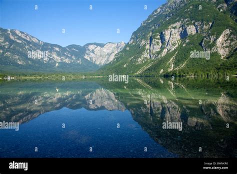 Lac De Bohinj Parc National Du Triglav Slovénie Photo Stock Alamy