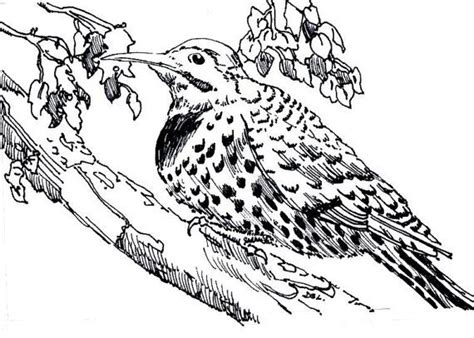 In fact, the cause of flickering lights is usually benign. 74 best Flicker Birds images on Pinterest | Tattoo ideas ...