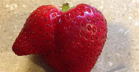 Overly Attached Strawberry Imgur