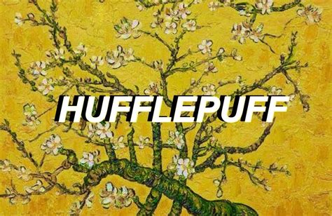 Aesthetic Hufflepuff Desktop Wallpaper Wallpapershit