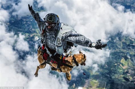 Colombian Air Force Dog Completes Its Parachute Training Daily Mail