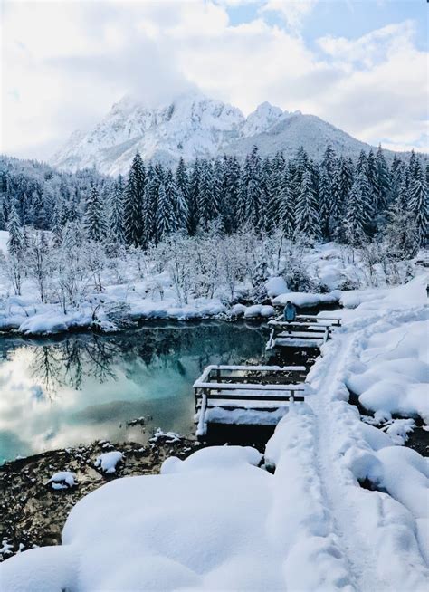 Photos Zelenci Nature Reserve Covered In Snow In Winter Travel Slovenia