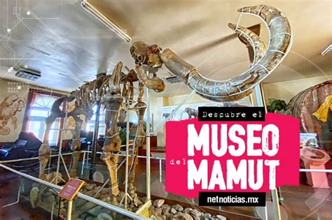 Viaja Al Pasado En El Museo Del Mamut