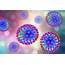 Stability Of The Influenza Virus Hemagglutinin Protein Correlates With 