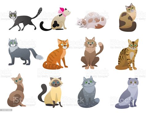 Use them in commercial designs under lifetime, perpetual & worldwide rights. Vector Funny And Cute Cartoon Cat Different Breeds Pet ...