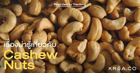เรื่องน่ารู้เกี่ยวกับ Cashew Nuts