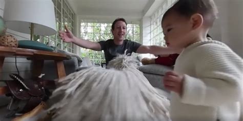 Mark Zuckerberg Films Daughter Max In 360 Degrees Video Business Insider