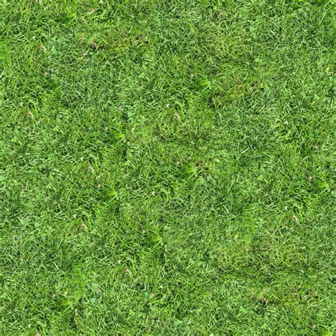 Pin By Duong Ntn On Sketchup Textura Grass Texture Seamless Grass