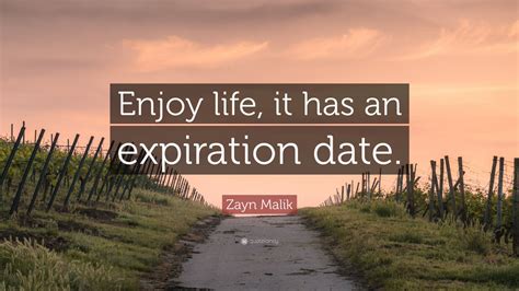 We aren't just fighting for our physical survival. Zayn Malik Quote: "Enjoy life, it has an expiration date." (12 wallpapers) - Quotefancy
