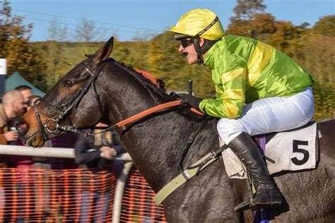 Fast Paced Point To Point Horse Racing Returns To Royal Cornwall This