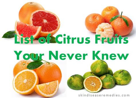 Citrus Fruits List In Telugu Tere Fruit