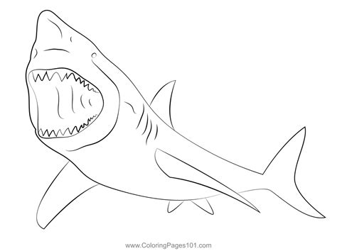 Shark Coloring Page Shark Coloring Pages Printable Coloring Pages