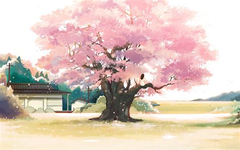 Anime Pink Tree Wallpapers Wallpaper Cave