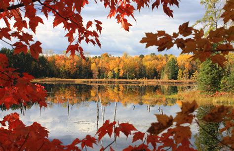 Autumn In Northern Wisconsin And The Upper Peninsula Of Michigan