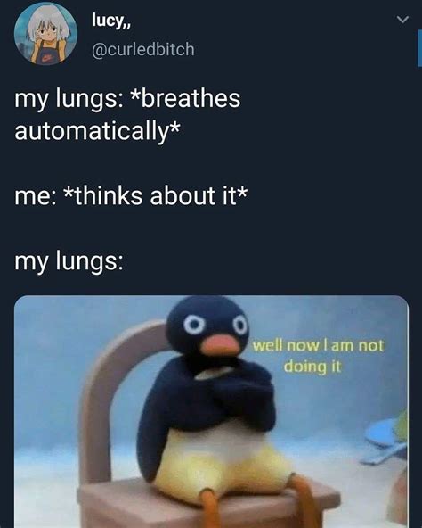 My Lungs Well Now I Am Not Doing It Rmemes