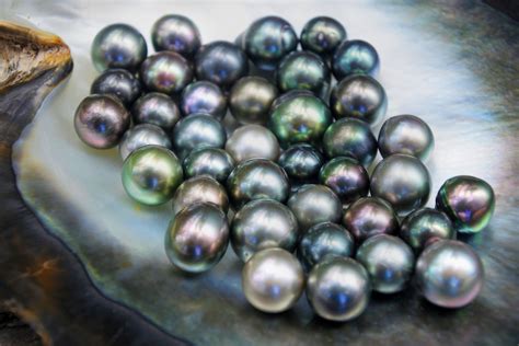 Black Pearls The Mysterious History Of A Beautiful Gem Kyllonen