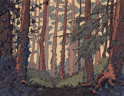 A Forest Background For A Project Im Working On Drawing Forest