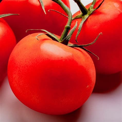 Mountain Pride F1 Hybrid Tomato Seeds 250 G Packet 60 Seeds Non