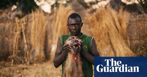 The Brutal Economics Of Zambias Illegal Wildlife Trade In Pictures